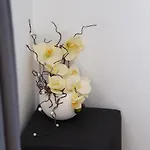 соколови къщи * Gabrovo