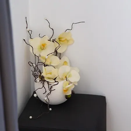 соколови къщи * Gabrovo